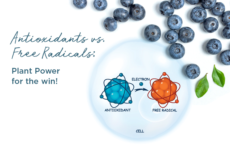 Antioxidants vs. Free Radicals: Plant Power for the win!