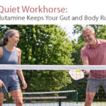 Illustration of the gut lining, showing how glutamine fuels rapid intestinal cell renewal