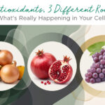 Three circular photo panels on a green and cream abstract background showing an apple with onions, a whole and halved pomegranate, and a cluster of purple grapes, representing quercetin, pomegranate, and OPC antioxidant sources